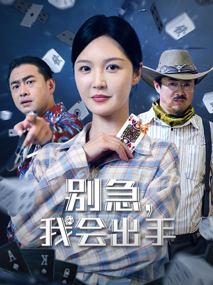 别急，我会出手&别急我会出手（50集）王冠程&李明 高清完整版