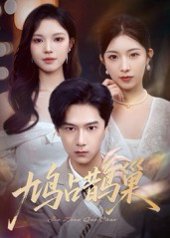 鸠占鹊巢&顶流夫人的致命陷阱（70集） 高清完整版