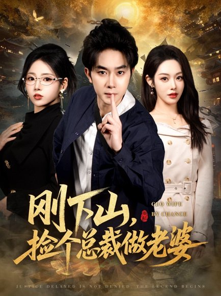 刚下山捡个总裁做老婆（80集）杨皓竣&胡继月&李奕璇 高清完整版